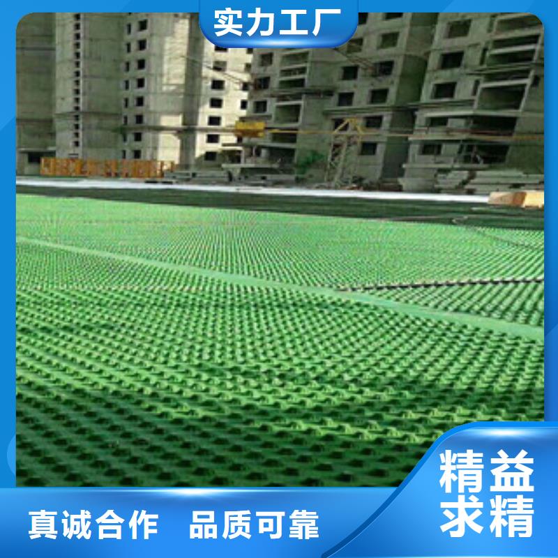 排水板-蓄排水板厂家工期短发货快