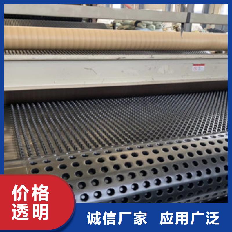 排水板蓄排水板厂家当地厂家值得信赖