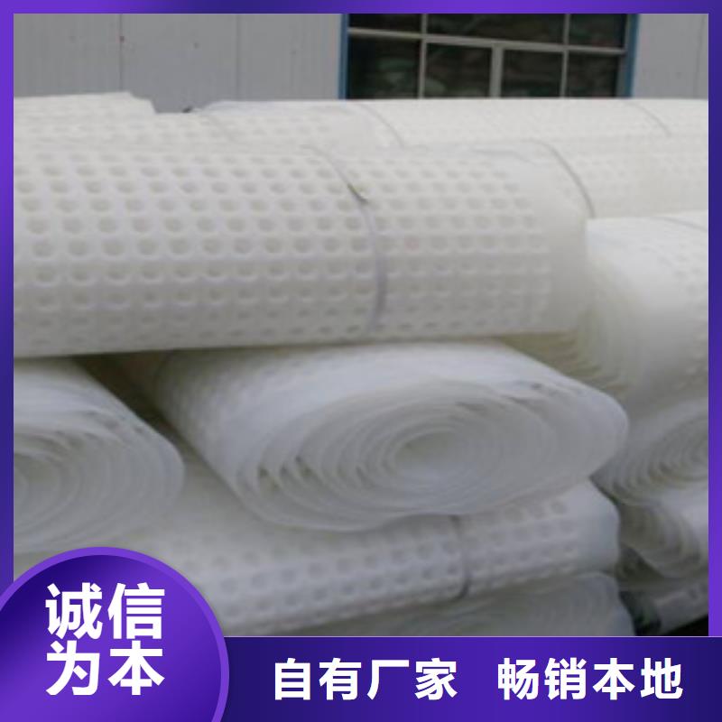 排水板-蓄排水板厂家工期短发货快