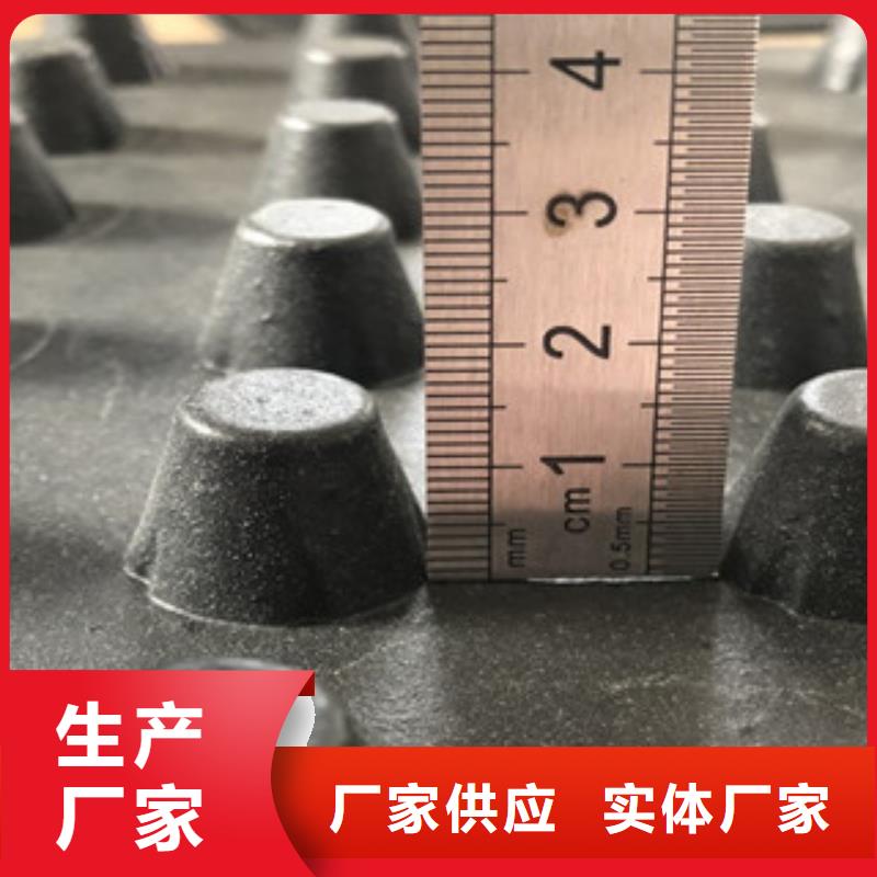 排水板,土工膜厂家买的放心