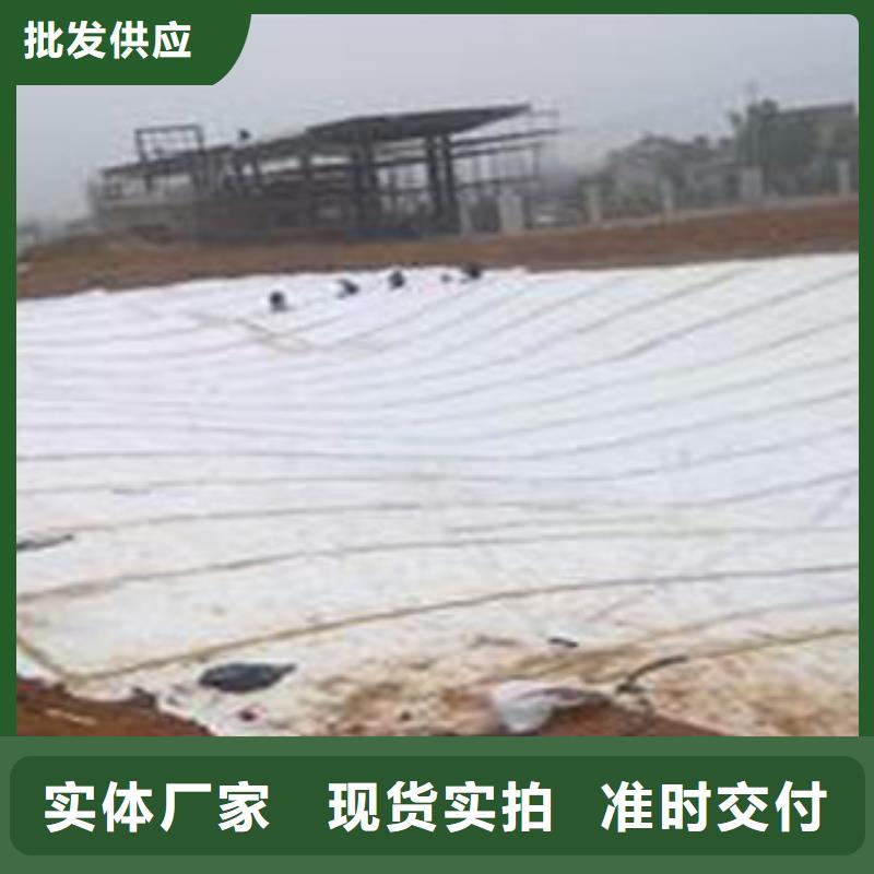 防水毯植草格厂家量大更优惠
