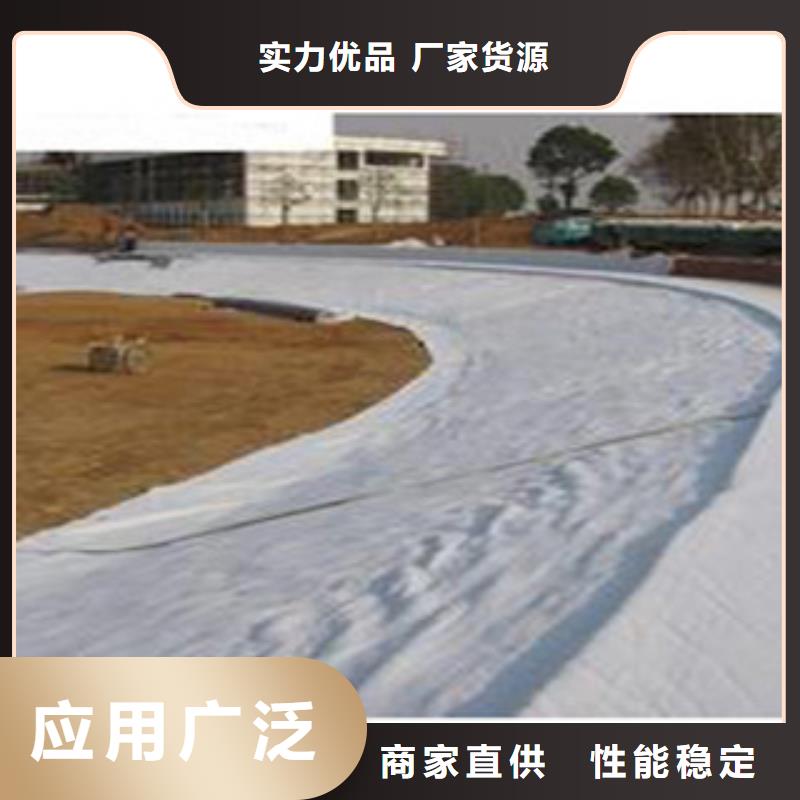 防水毯土工布厂家畅销当地