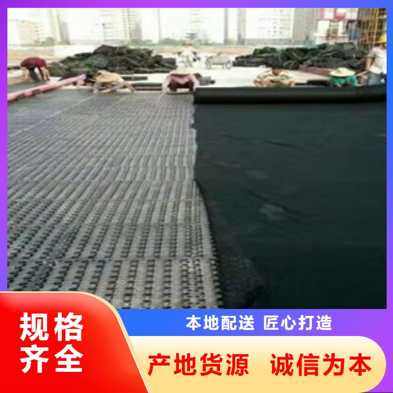 5公分蓄排水板富泰土工材料有限公司厂家地址