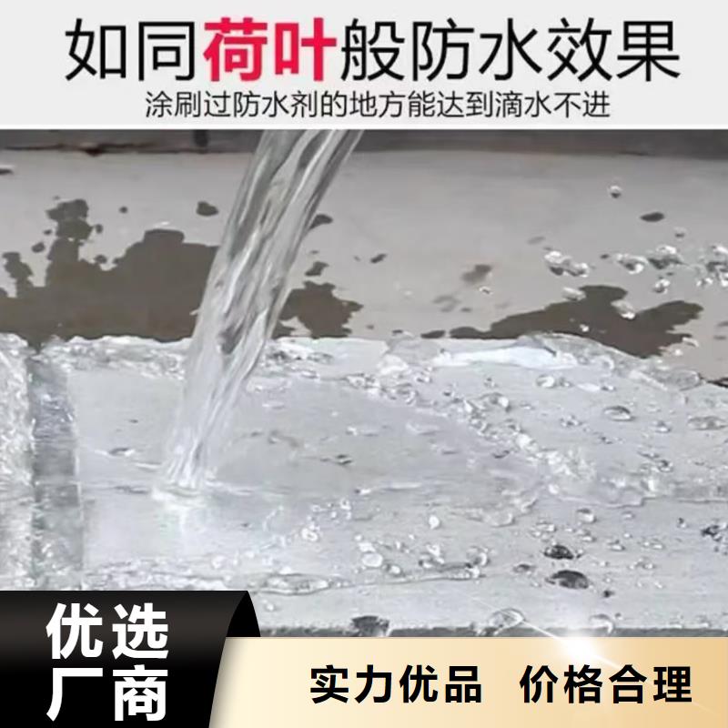 澳阔防腐高分子聚合物水泥基防水涂品质之选经久耐用LM水性聚酯复合防腐防水涂料