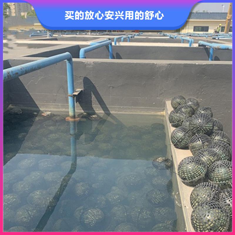 澳阔防腐高分子聚合物水泥基防水涂品质之选经久耐用LM水性聚酯复合防腐防水涂料