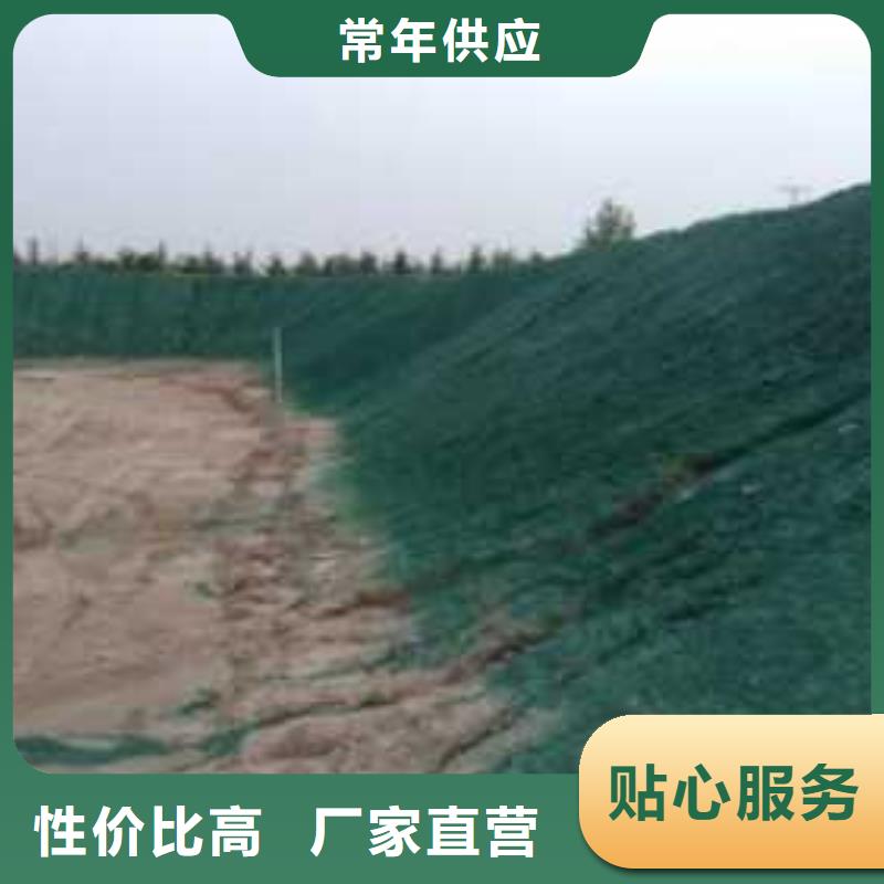 结壳环保降尘剂实力厂家
