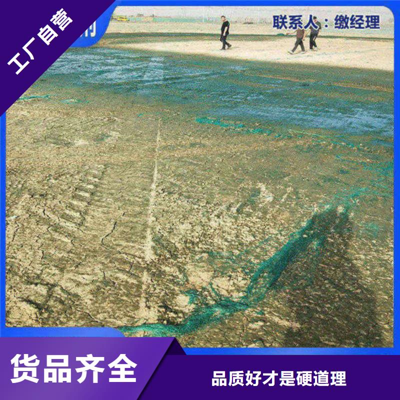 道路生物型降尘剂实力生产厂家